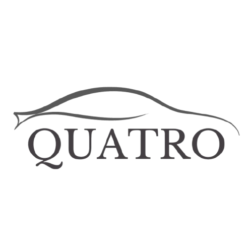 Quatro 4 Kanallı IP Kamera MNVR Cihazı - 1